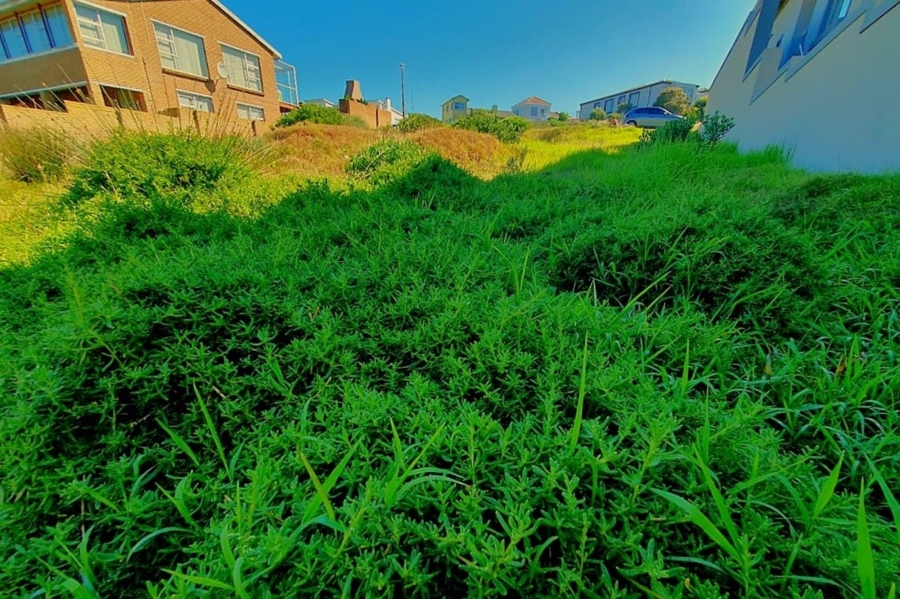 0 Bedroom Property for Sale in Jongensfontein Western Cape